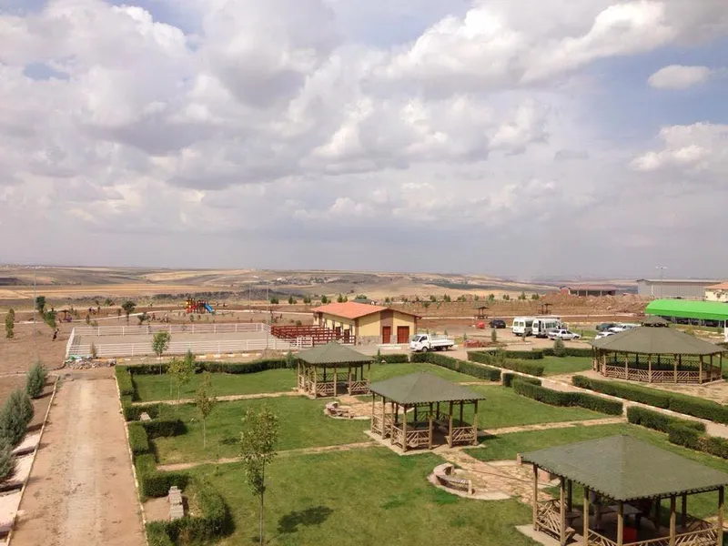 TJK Diyarbakır Hipodromu görsel 2